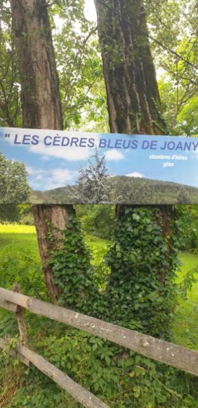Отель Les Cèdres Bleus de Joany  Вивье